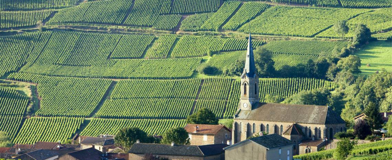Emission en rediffusion: Voyager en alliant vigne et patrimoine,  ce jeudi 15 février de 10 à 11 hres, émission Ici et Ailleurs