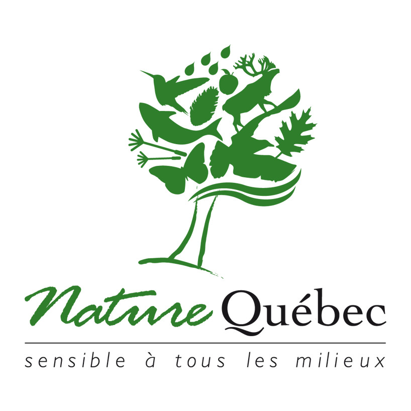 Chroniques du 17 Janvier 2019
