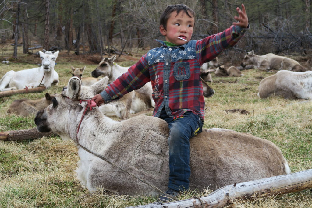 La Mongolie nature sauvage, ce jeudi 17 septembre 2019, de 10 à 11 heures - Ici et Ailleurs