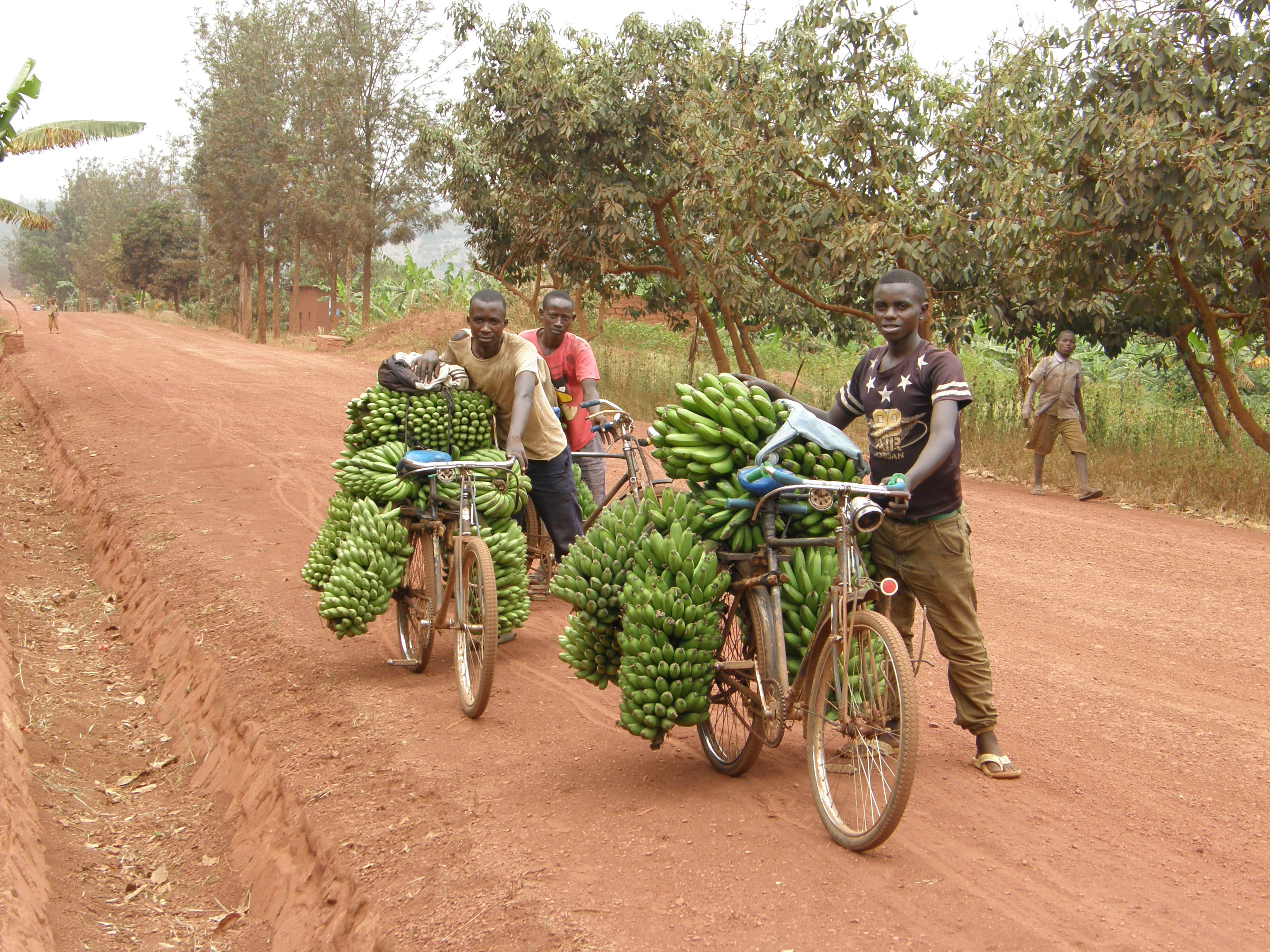 Impressionnant Rwanda, ce jeudi 26 septembre 2019, de 10 à 11 heures - Ici et Ailleurs