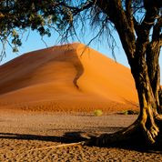 La Namibie et Marc Laberge, ce jeudi 14 janvier, à 10 hres, à l'émission Ici et Ailleurs