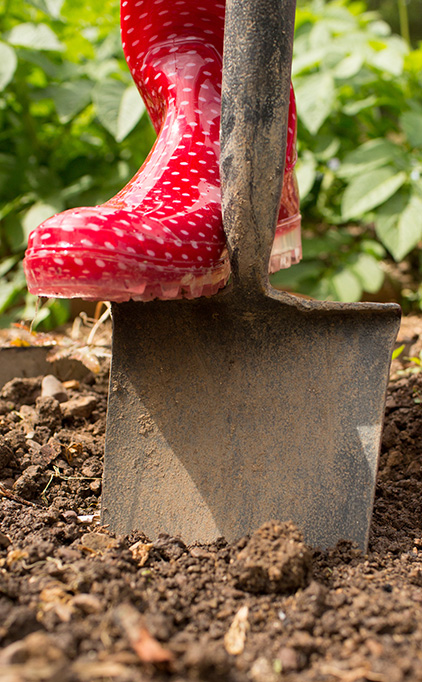 Le jardinier paresseux