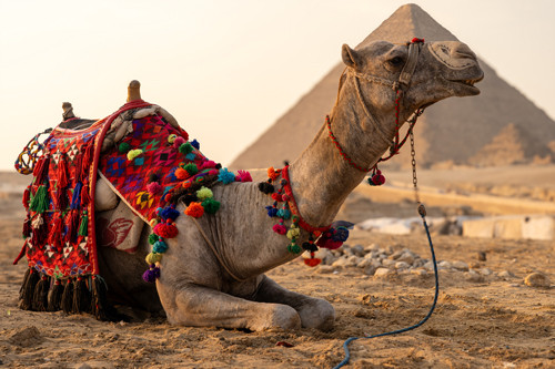 L'Égypte Intemporelle, ce jeudi 19 décembre à 10h00 et en rediffusion lundi 23 décembre, à l'émission Ici et Ailleurs