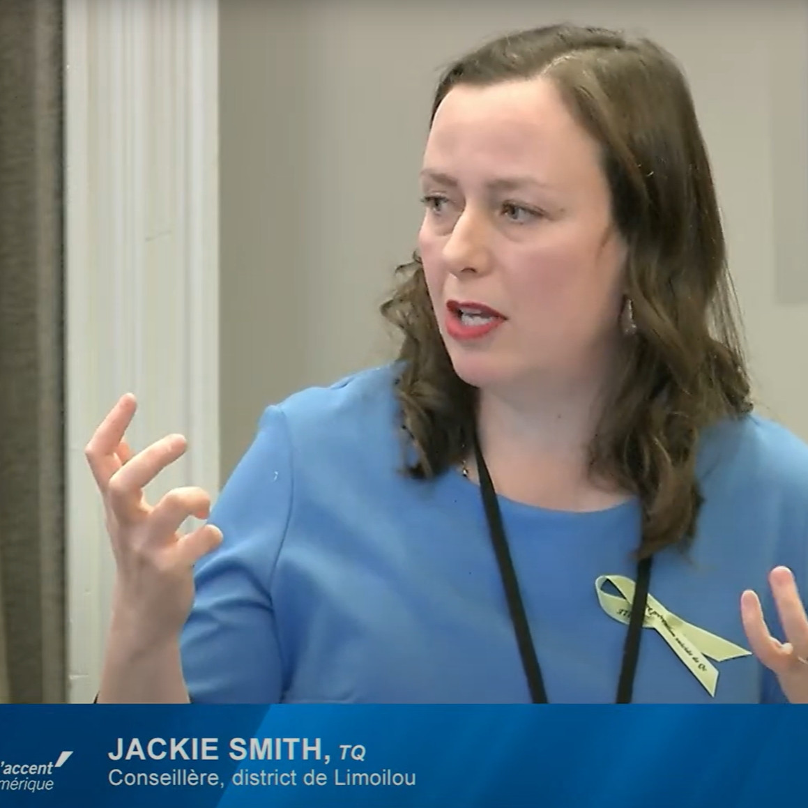 Protection du boisé des Châtels: de «l’écoblanchiment» accuse Jackie Smith