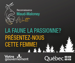 I-3CW-IU-037 Reconnaissance Maud-Malone