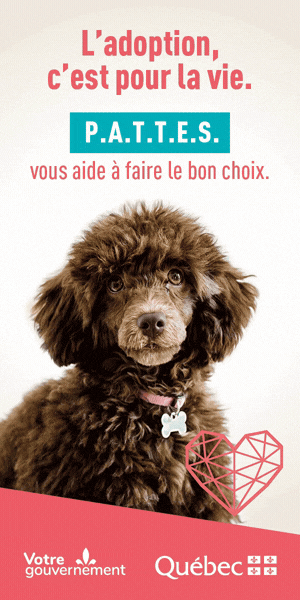 I-2CQ-IE-026 MAPAQ Adoption responsable