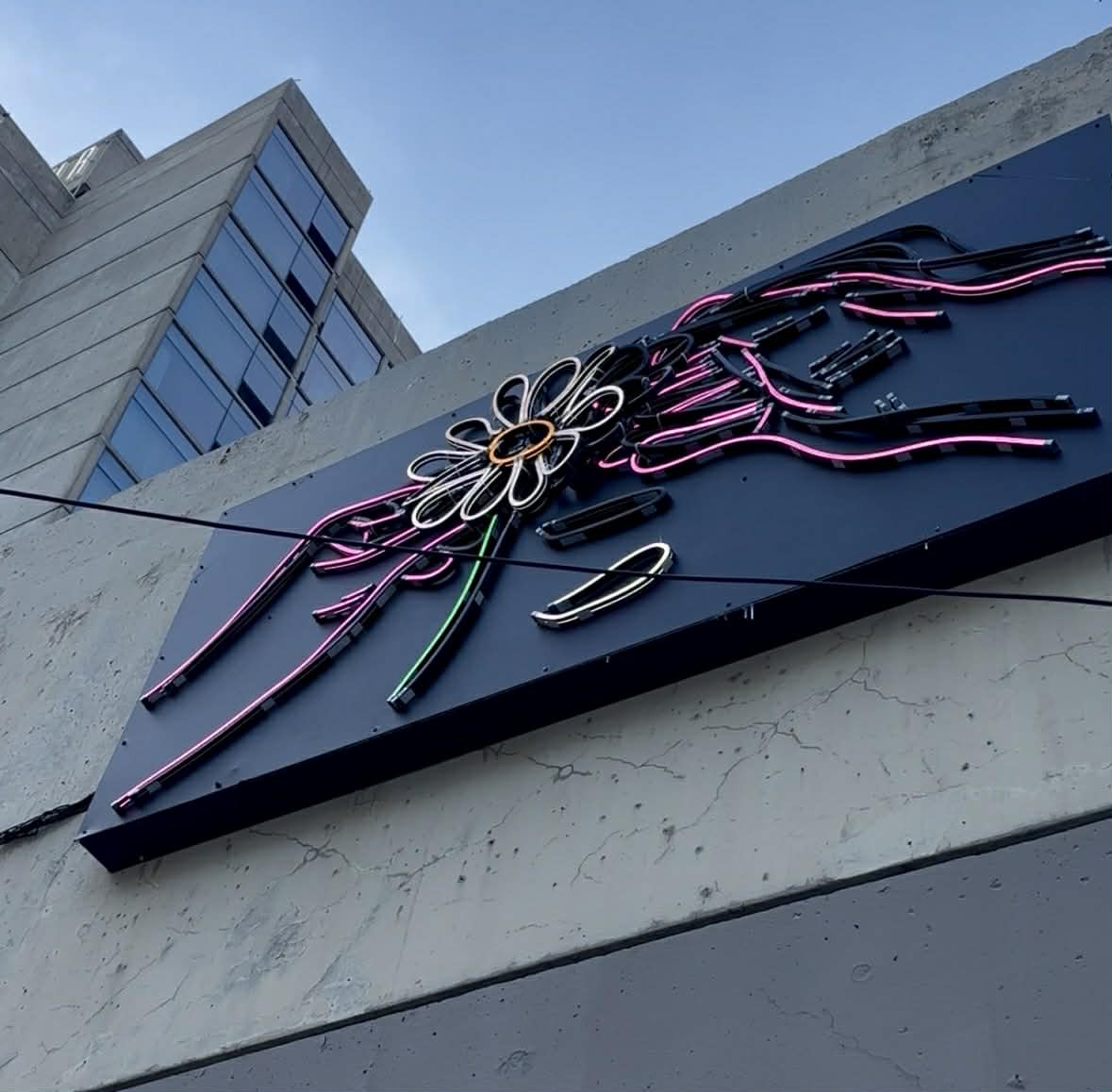 Des œuvres colorées et interactives illuminent le quartier Saint-Roch