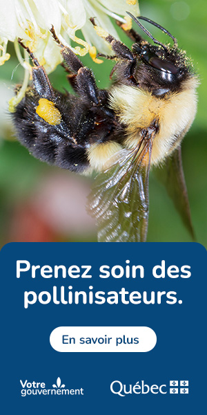 I-3CW-MN-043 MELCC Biodiversité printem (300x600)
